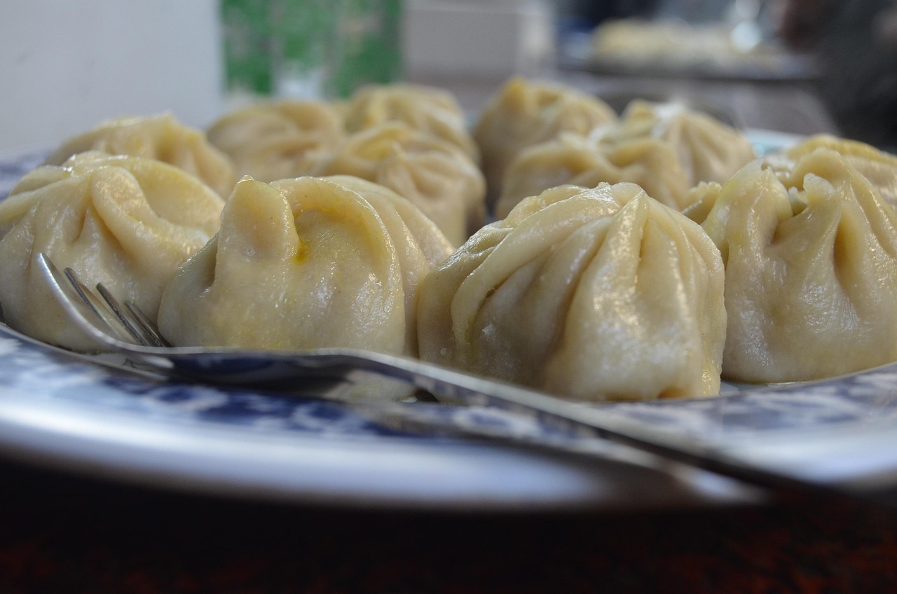 1746101154xiao-long-bao-6223162_1280.jpg