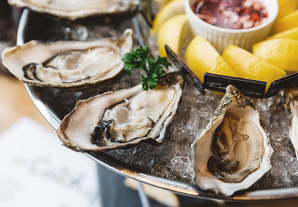 91426-oyster.png