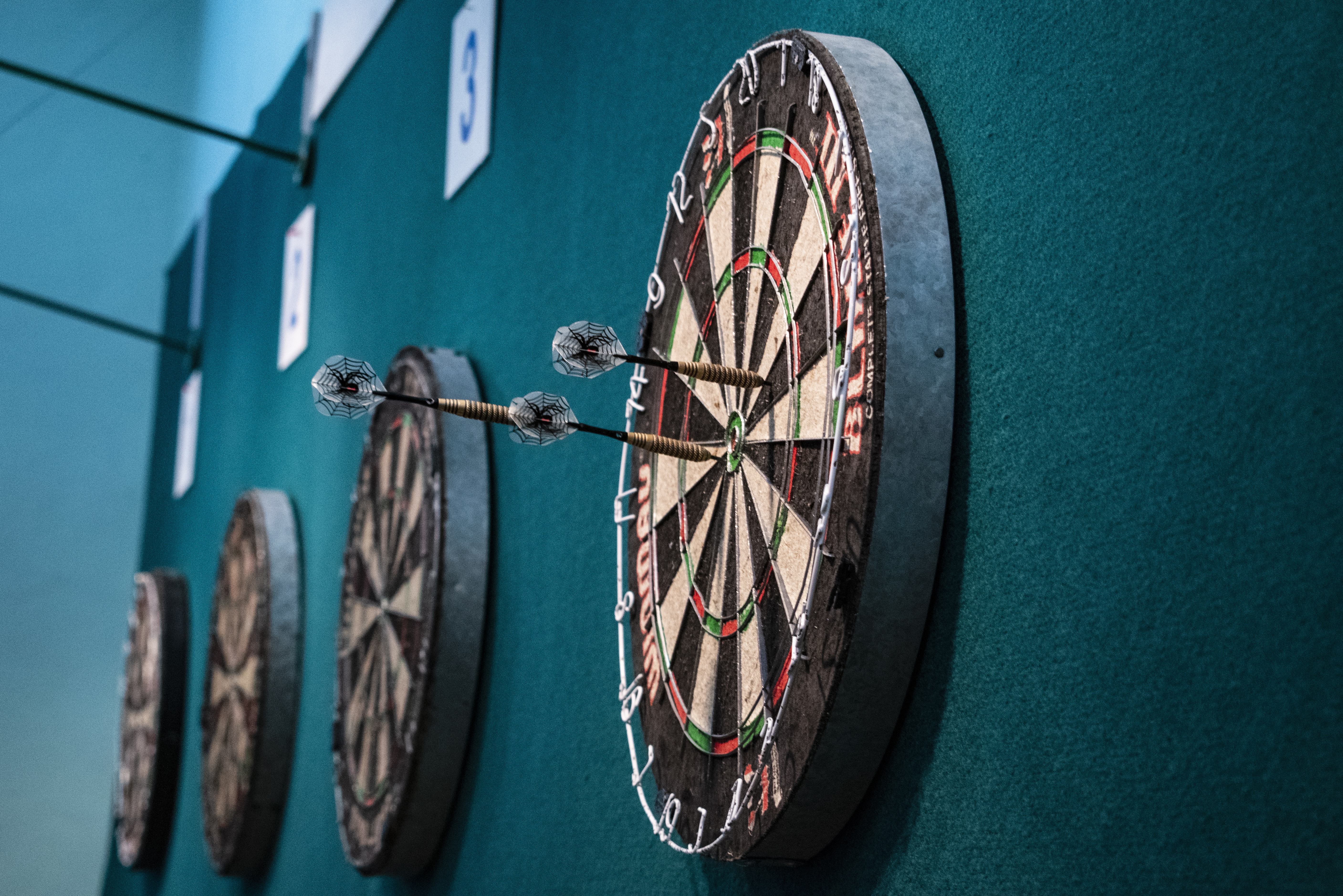 maximovael94-darts-4610860_1785773013.jpg